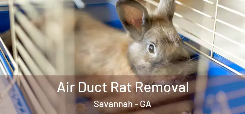 Air Duct Rat Removal Savannah - GA