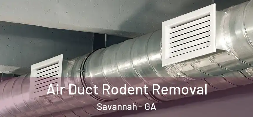 Air Duct Rodent Removal Savannah - GA