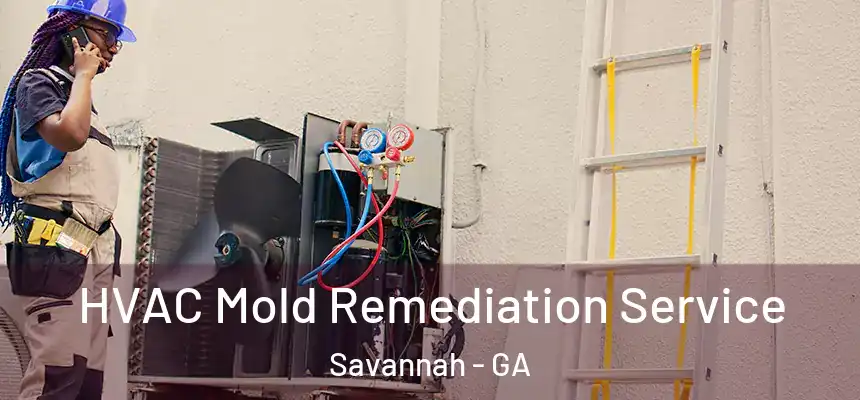  HVAC Mold Remediation Service Savannah - GA
