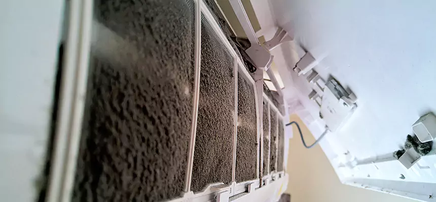 Preventive Air Duct Bacteria Removal in Savannah