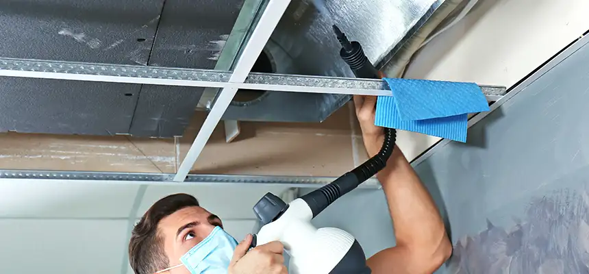 Our Air Duct Rodent Removal Services in Savannah, GA