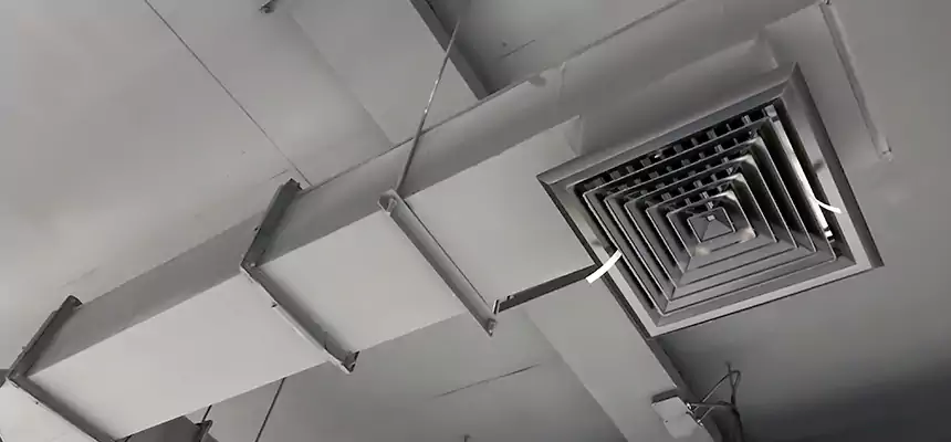 Our Rodent Droppings In Vents Services in Savannah, GA