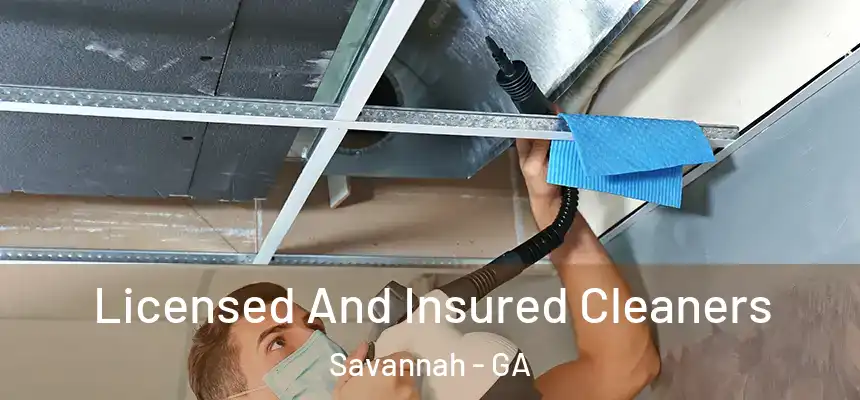 Licensed And Insured Cleaners Savannah - GA