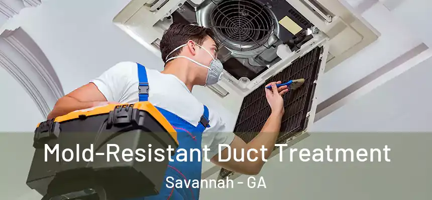 Mold-Resistant Duct Treatment Savannah - GA