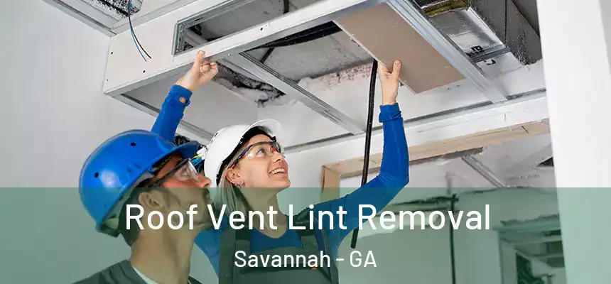 Roof Vent Lint Removal Savannah - GA