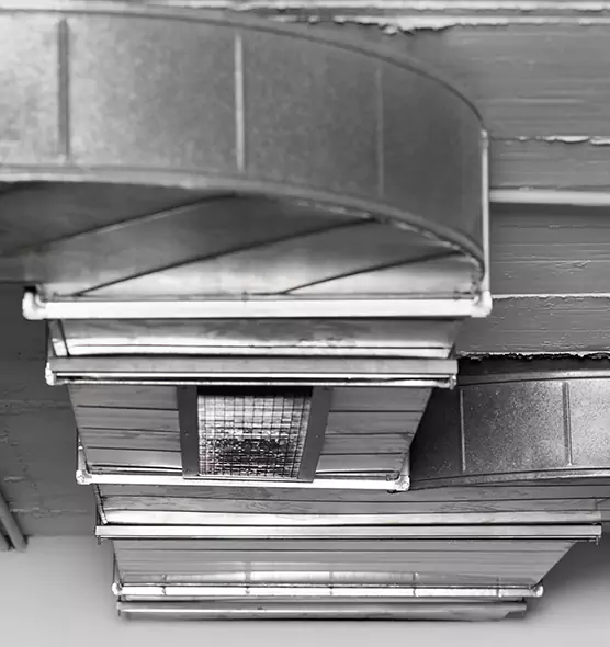 Professional Air Duct Pest Removal in Savannah, GA