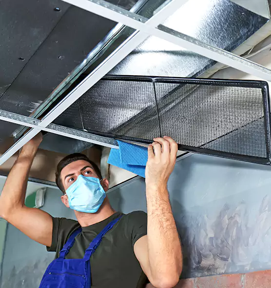 Professional Air Duct Pollen Cleaning in Savannah, GA