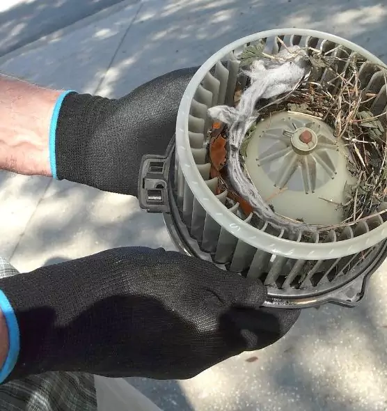 About Air Duct Rat Removal in Savannah, GA