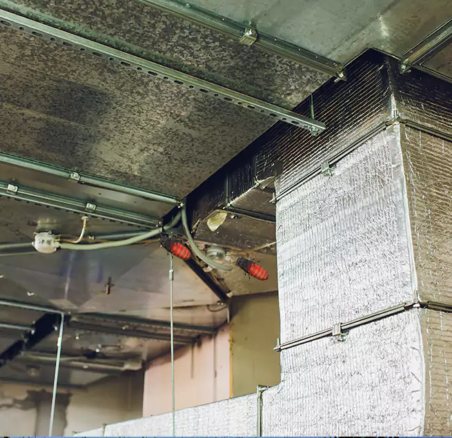 Why Homeowners & Businesses Trust Us in Savannah, GA?