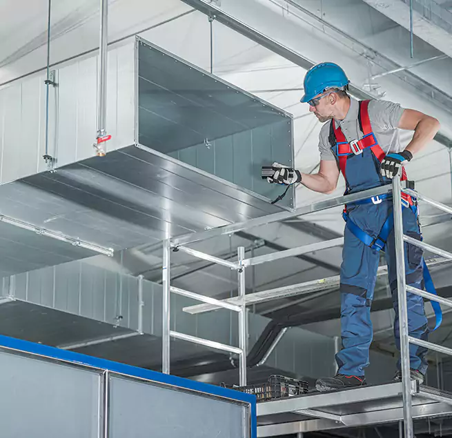 Why Homeowners & Businesses Trust Us in Savannah, GA?