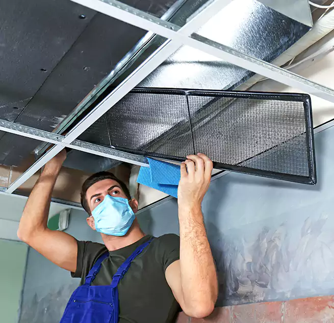 Why Homeowners Businesses Trust Us in Savannah, GA