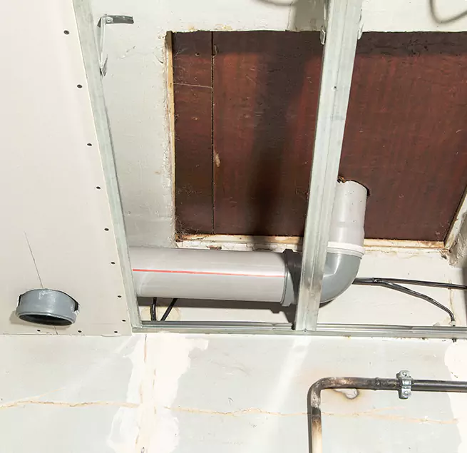 Why Homeowners & Businesses Trust Us in Savannah, GA?