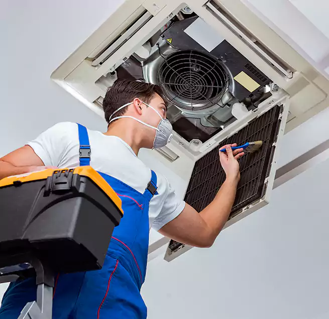 Why Homeowners & Businesses Trust Us in Savannah, GA