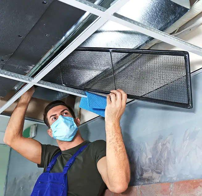 Why Homeowners & Businesses Trust Us in Savannah, GA?